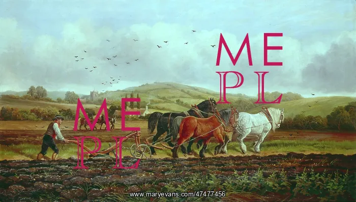 : The Ploughman ' farming scene : The Ploughman ' farming scene