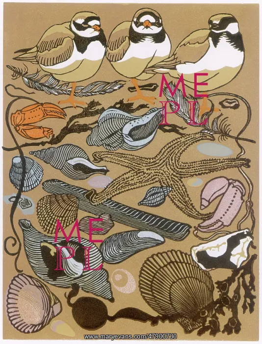 : Three Plovers, Ten shells : Three Plovers, Ten shells