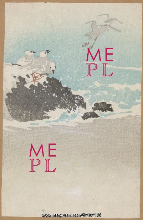 : Plovers over waves : Plovers over waves