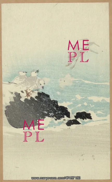 : Plovers over waves : Plovers over waves