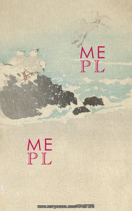 : Plovers over waves : Plovers over waves