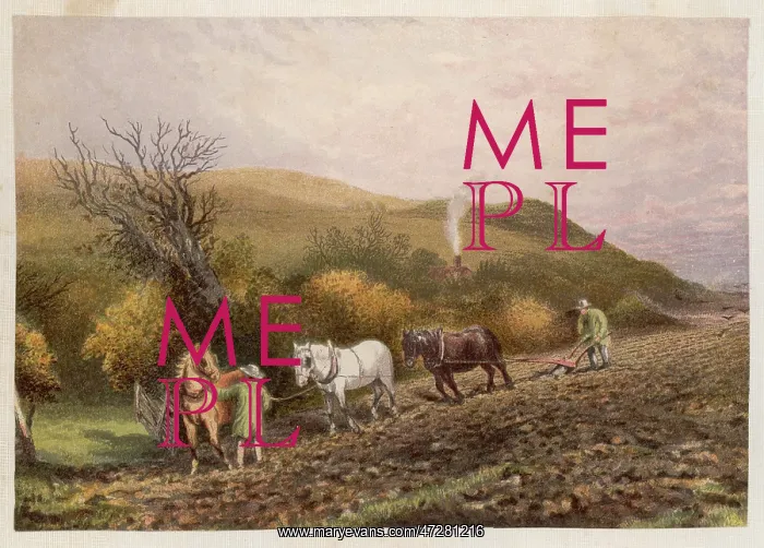  : PLOWING WITH HORSES