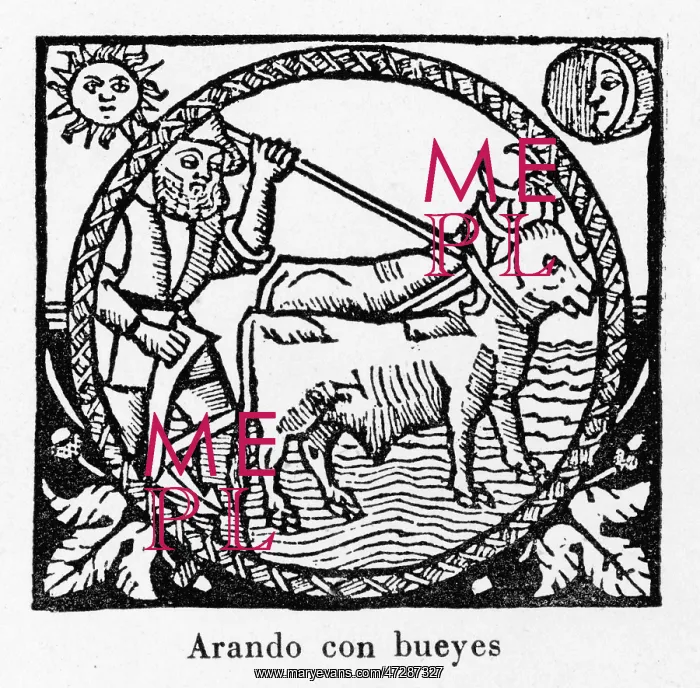 : Plowing, Spain 1511 : Plowing, Spain 1511