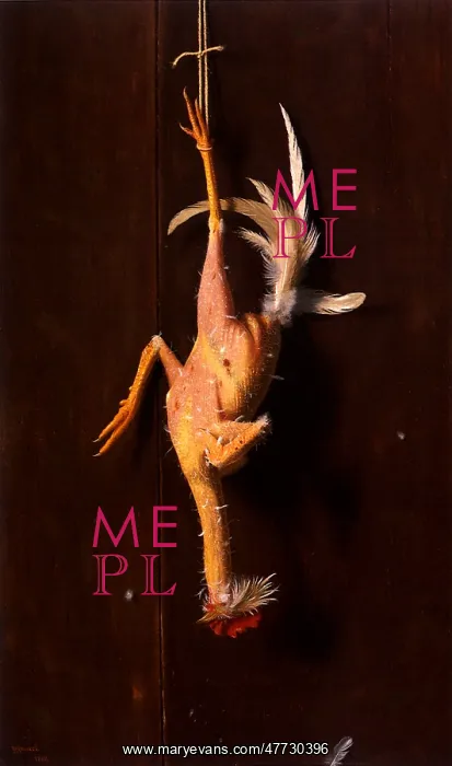 : Plucked Clean : Plucked Clean