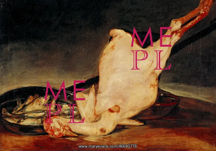 : The Plucked Turkey, by Goya : The Plucked Turkey, by Goya