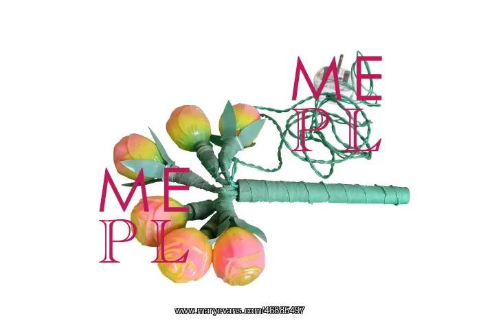  : Plug in Flowers