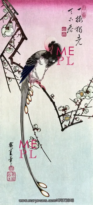 : Plum Blossom and Magpie, 19th Century : Plum Blossom and Magpie, 19th Century