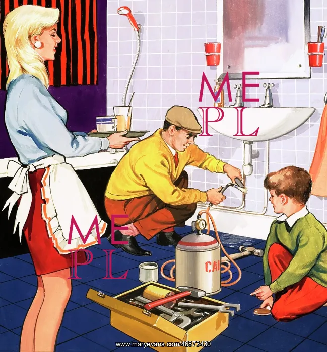: The Plumber : The Plumber
