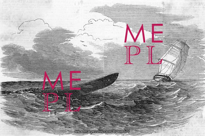 : PLUMPER SEA SERPENT : PLUMPER SEA SERPENT