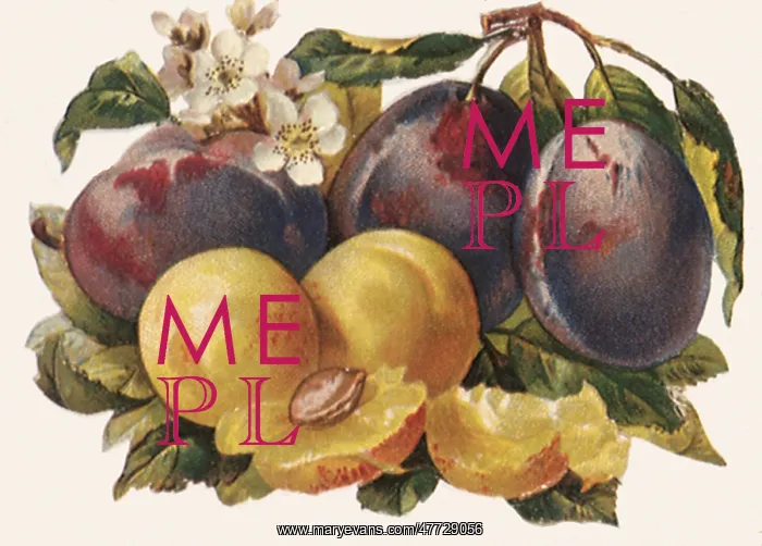  : Plums and Nectarines
