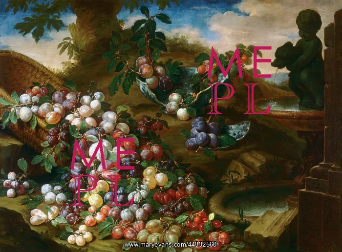 : Plums: painted by Bartolomeo Bimbi : Plums: painted by Bartolomeo Bimbi