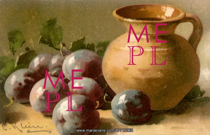  : Plums and Pitcher