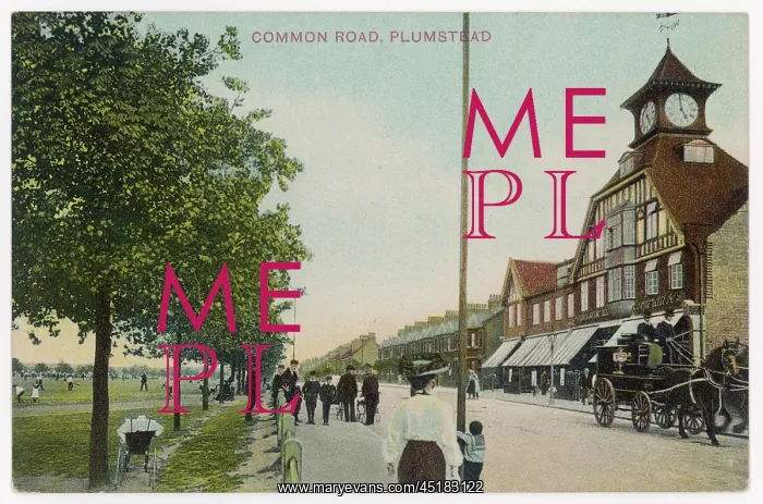 : PLUMSTEAD COMMON ROAD : PLUMSTEAD COMMON ROAD