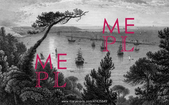 : PLYMOUTH, Devon : PLYMOUTH, Devon