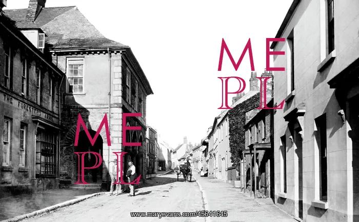  : Plympton, the Town Hall 1890