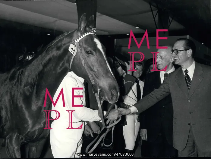  : PM Jacques Chirac meeting a horse breeder