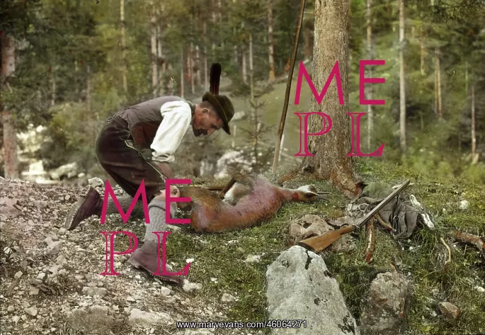 : Poacher on the Rudolfsteig : Poacher on the Rudolfsteig