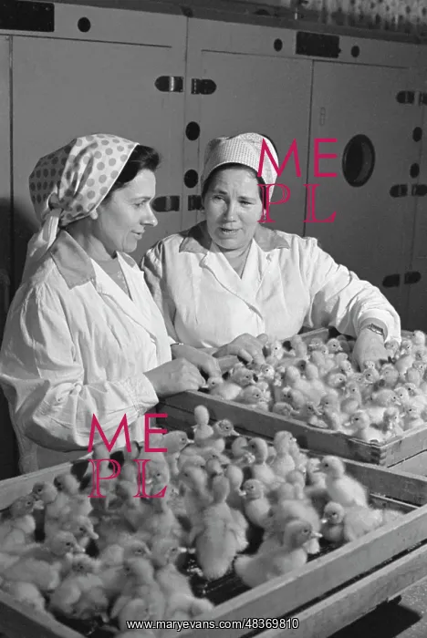: Pobeda collective farm : Pobeda collective farm