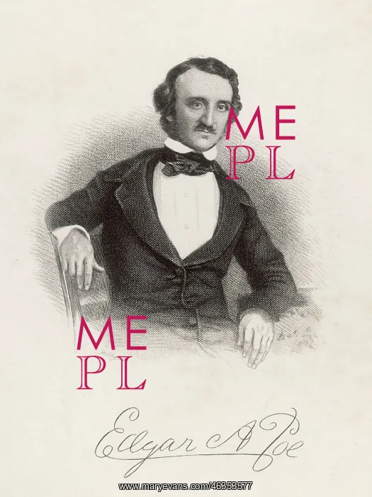  : POE (HOLLYER)