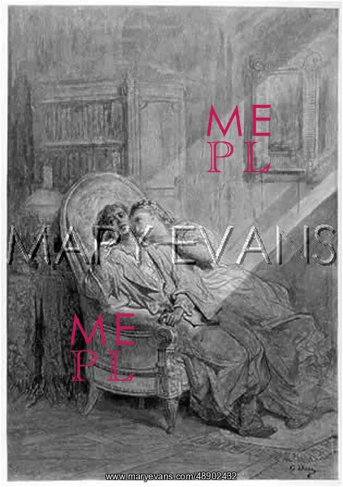  : POE / POEM / THE RAVEN / C19TH