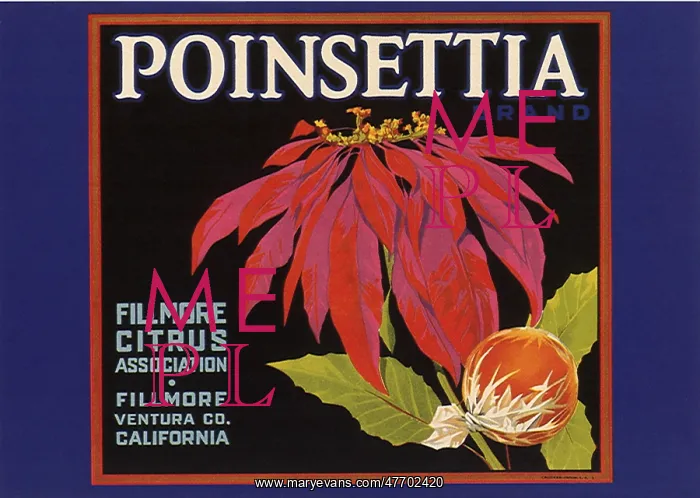  : Poinsettia Fruit Label