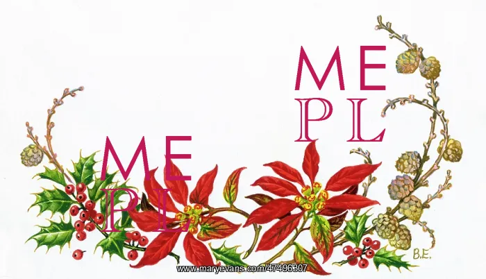  : Poinsettia, larch and holly