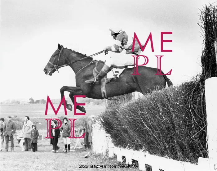 : POINT TO POINT : POINT TO POINT