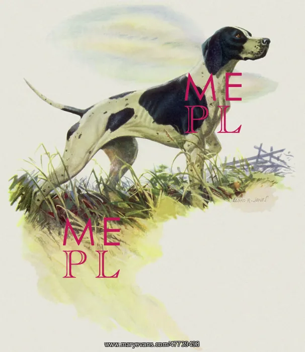  : Pointer