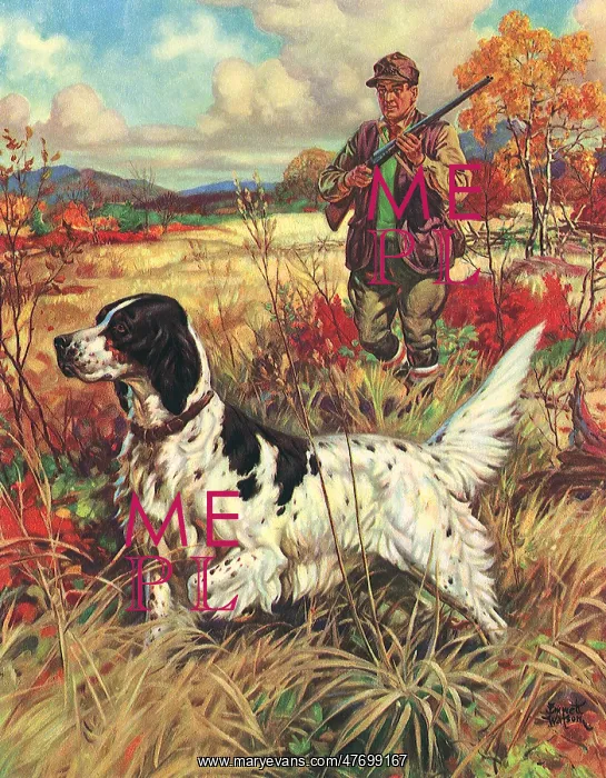  : Pointer and Hunter