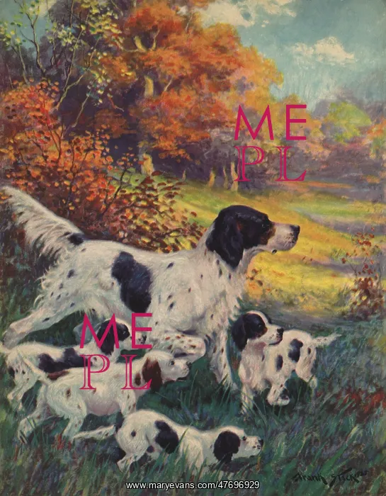  : Pointer and Pups