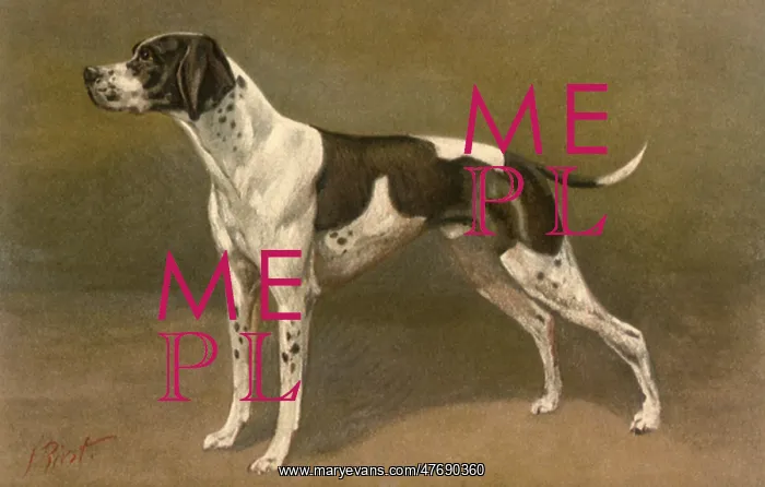  : Pointer at the Ready