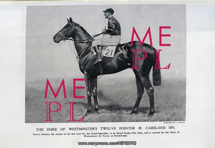 : Twelve Pointer, ridden by Bernard Carslake : Twelve Pointer, ridden by Bernard Carslake