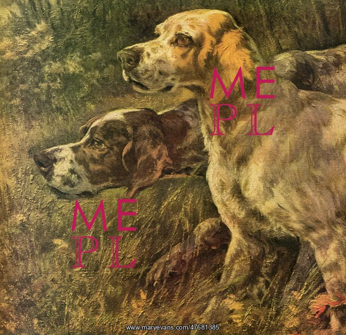 : Pointer and Setter