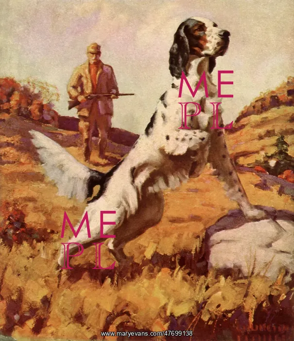  : Pointer Standing Alert