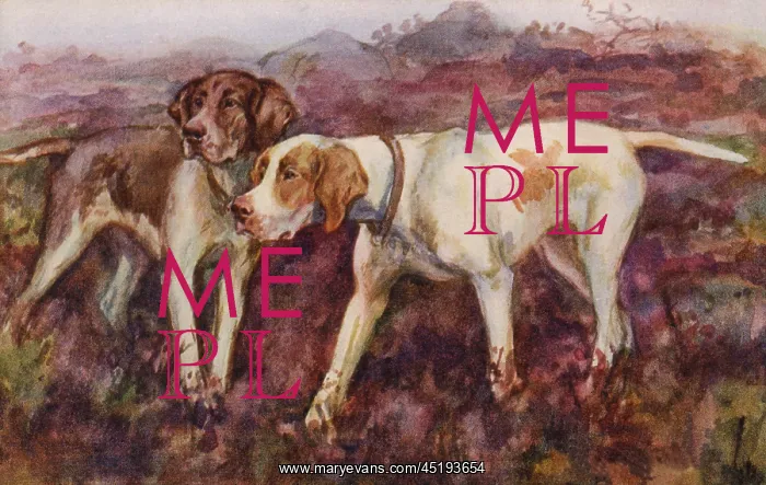  : Pointers. Artist: Eileen Hood. Watercolour of dogs walking in the countryside