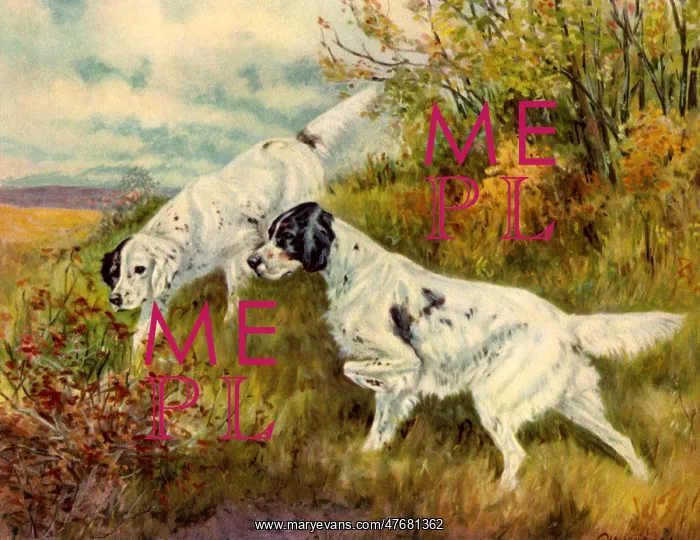  : Two Pointers