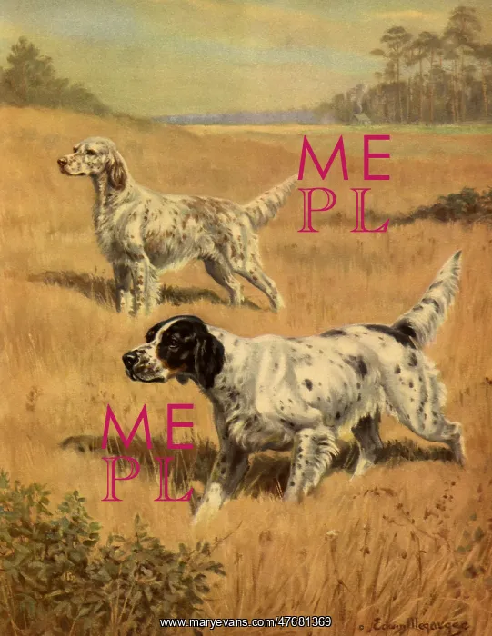 : Pointers in Field : Pointers in Field