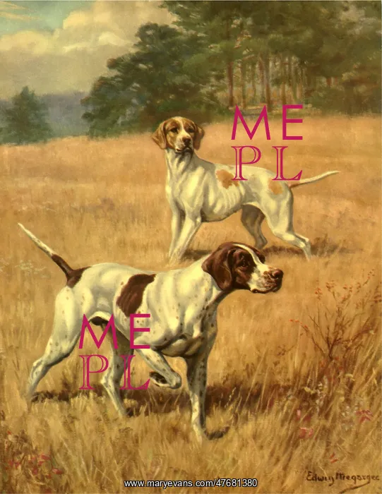 : Pointers in Field