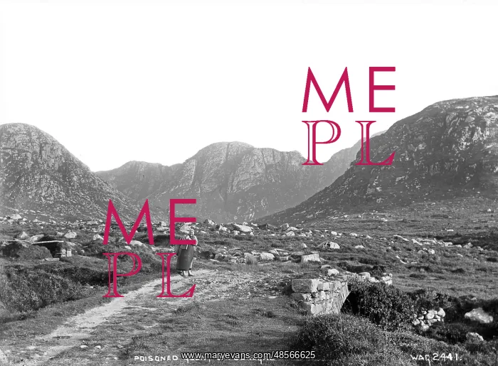 : Poisoned Glen, Co. Donegal : Poisoned Glen, Co. Donegal