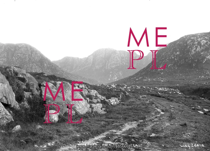: Poisoned Glen, Co. Donegal : Poisoned Glen, Co. Donegal