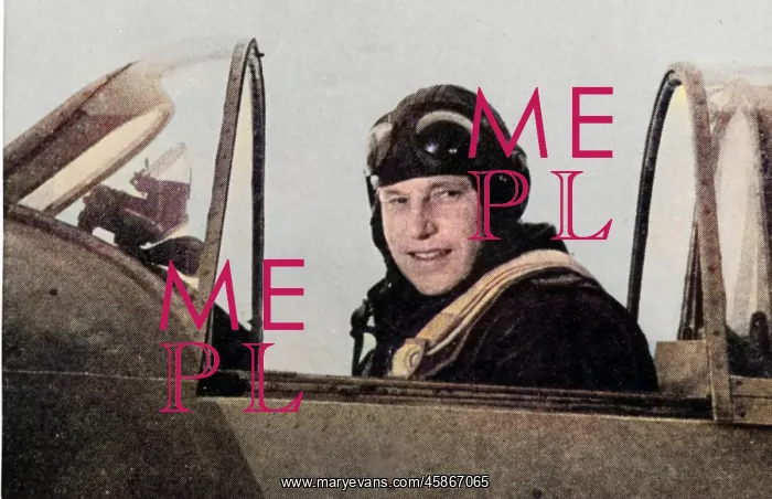 : Pokryshkin, Alexander, pilot, Soviet P-39 ace.? : Pokryshkin, Alexander, pilot, Soviet P-39 ace.?