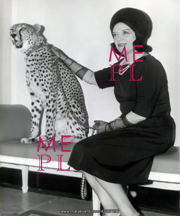 : Pola Negri : Pola Negri