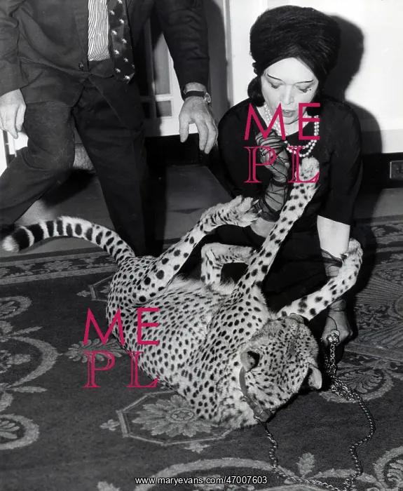 : Pola Negri : Pola Negri