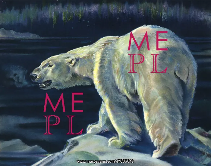  : Polar Bear
