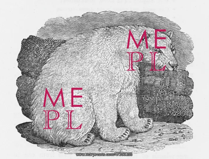 : POLAR BEAR (BEWICK) : POLAR BEAR (BEWICK)