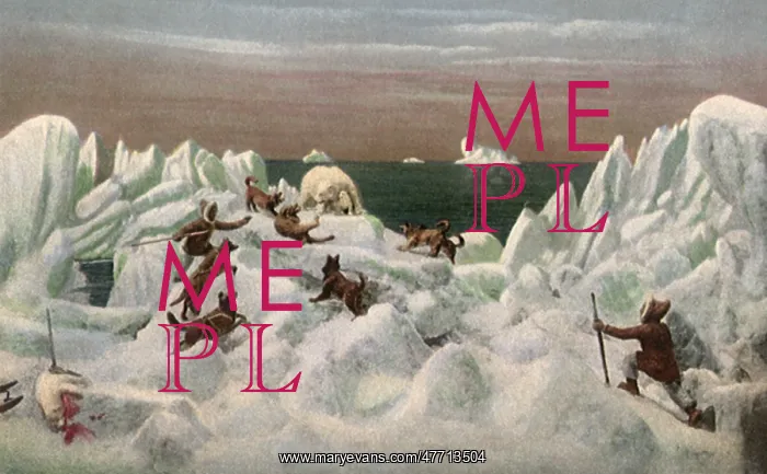  : Polar Bear Hunt