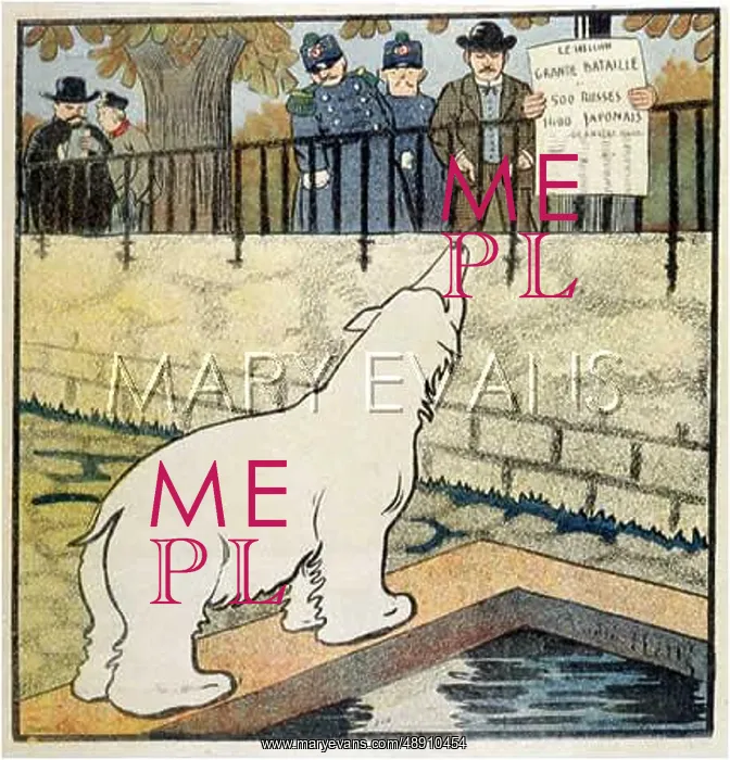 : POLAR BEAR IN ZOO : POLAR BEAR IN ZOO