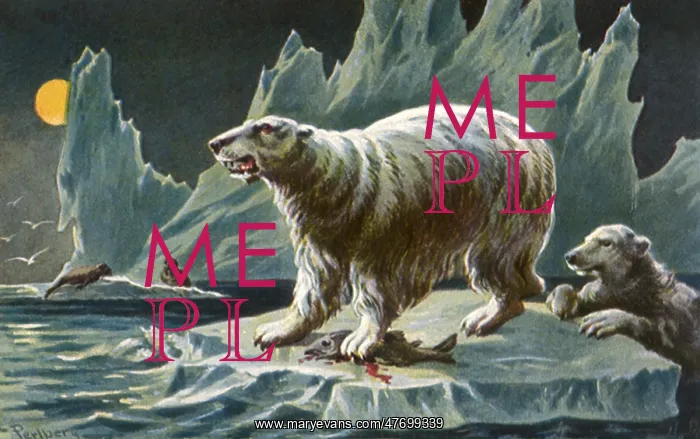  : Polar Bears