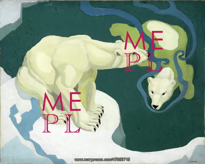 : Two Polar bears : Two Polar bears