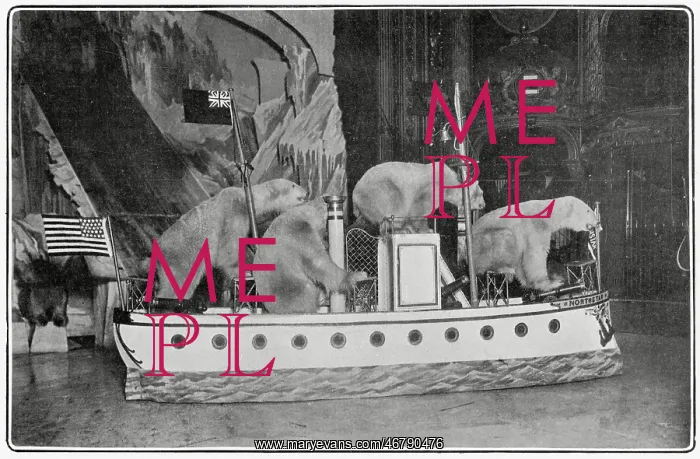 : Polar bears at the London Hippodrome 1905 : Polar bears at the London Hippodrome 1905